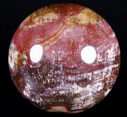Petrified Wood